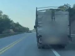 Đọc nhanh bài viết 1022082