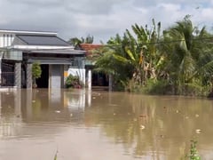 Đọc nhanh bài viết 1022153