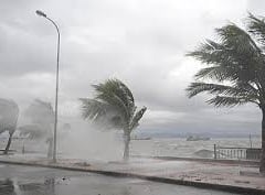 Đọc nhanh bài viết 1022225