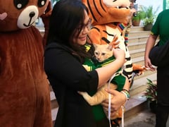 Đọc nhanh bài viết 1022227