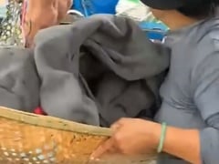 Đọc nhanh bài viết 1022241