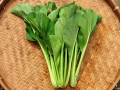 Đọc nhanh bài viết 1022260