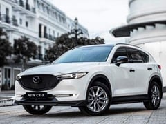 Đọc nhanh bài viết 1022268