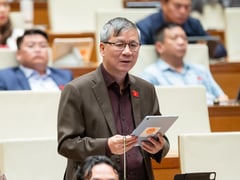 Đọc nhanh bài viết 1022349