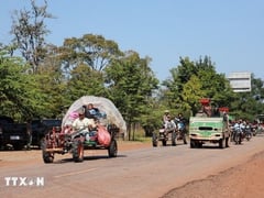 Đọc nhanh bài viết 1022384