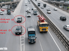 Đọc nhanh bài viết 1022548