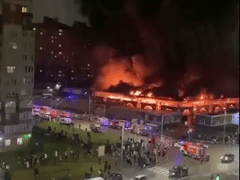 Đọc nhanh bài viết 1022665