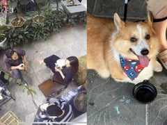 Đọc nhanh bài viết 1022796