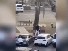 Đọc nhanh bài viết 1023009