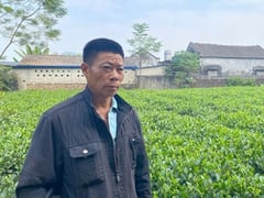 Đọc nhanh bài viết 1023303