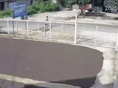 Đọc nhanh bài viết 1023305