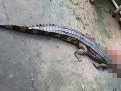 Đọc nhanh bài viết 1023345