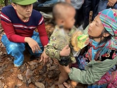 Đọc nhanh bài viết 1023441