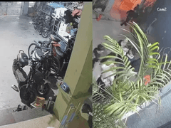 Đọc nhanh bài viết 1023532