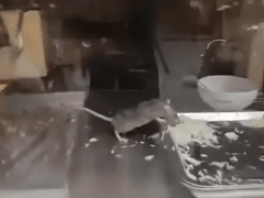 Đọc nhanh bài viết 1023537