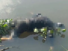 Đọc nhanh bài viết 1023610