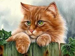 Đọc nhanh bài viết 1023627