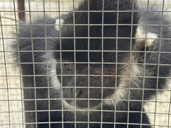 Đọc nhanh bài viết 1023642