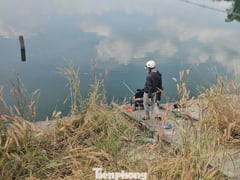 Đọc nhanh bài viết 1023644