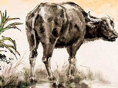 Đọc nhanh bài viết 1023663