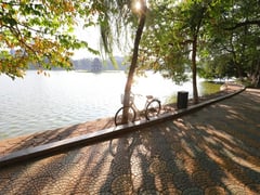 Đọc nhanh bài viết 1023665