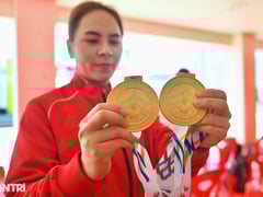 Đọc nhanh bài viết 1023698