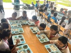 Đọc nhanh bài viết 1023741