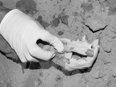 Đọc nhanh bài viết 1023783