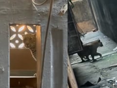 Đọc nhanh bài viết 1023786