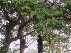 Đọc nhanh bài viết 1023823