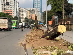 Đọc nhanh bài viết 1023890