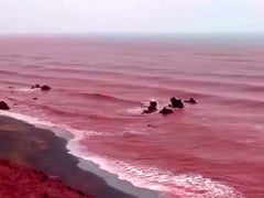 Đọc nhanh bài viết 1023928