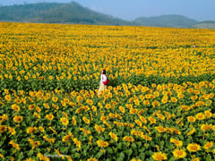 Đọc nhanh bài viết 1023945