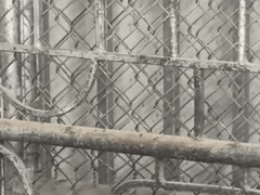 Đọc nhanh bài viết 1023993