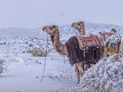 Đọc nhanh bài viết 1023995