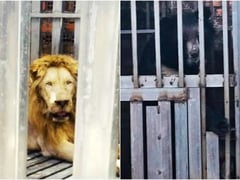 Đọc nhanh bài viết 1024013