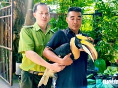 Đọc nhanh bài viết 1024044