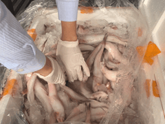 Đọc nhanh bài viết 1024083