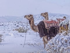 Đọc nhanh bài viết 1024086