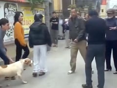 Đọc nhanh bài viết 1024237