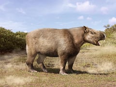 Đọc nhanh bài viết 1024256