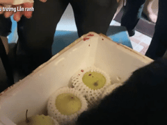 Đọc nhanh bài viết 1024264