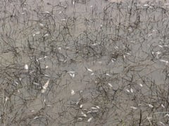 Đọc nhanh bài viết 1024303