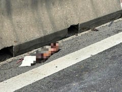 Đọc nhanh bài viết 1024336