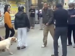 Đọc nhanh bài viết 1024398