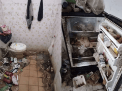 Đọc nhanh bài viết 1024444