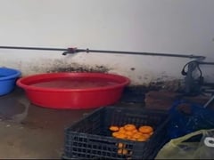 Đọc nhanh bài viết 1024445