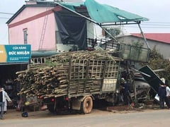 Đọc nhanh bài viết 1024503