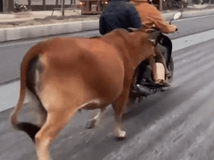 Đọc nhanh bài viết 1024615