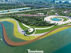 Đọc nhanh bài viết 1024635